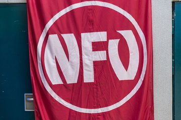Bild 3 - wBJ NFV Futsalmeisterschaft